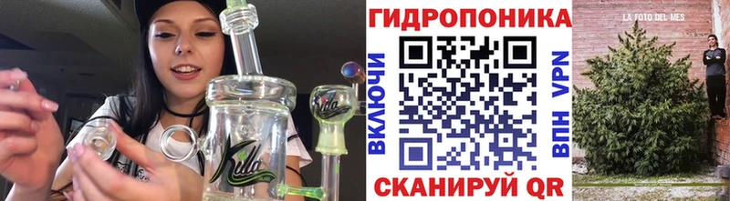 Как найти наркотики Кудрово Каннабис  Псилоцибиновые грибы  ГАШИШ  Бутират  Амфетамин  A-PVP 