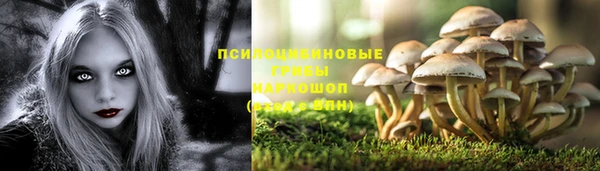 каннабис Карпинск
