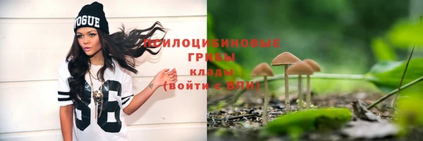 прущий лед Карталы