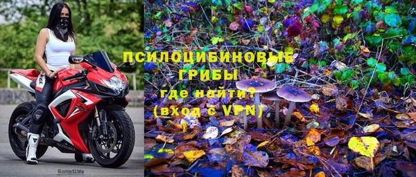 Альфа ПВП Касимов