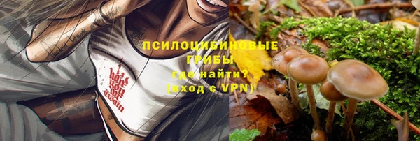 Альфа ПВП Касимов
