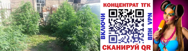 ТГК THC oil  Кудрово 