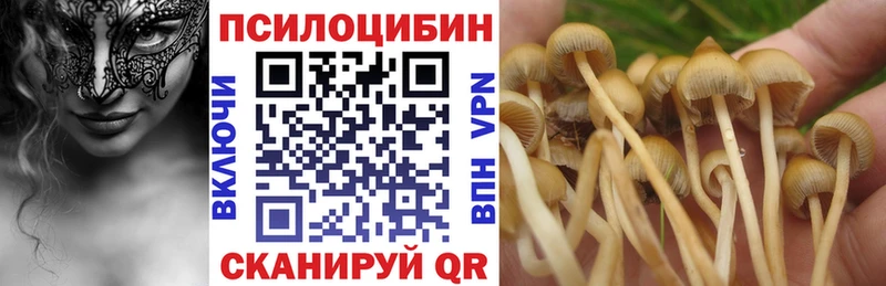 купить наркоту Кудрово Галлюциногенные грибы ЛСД