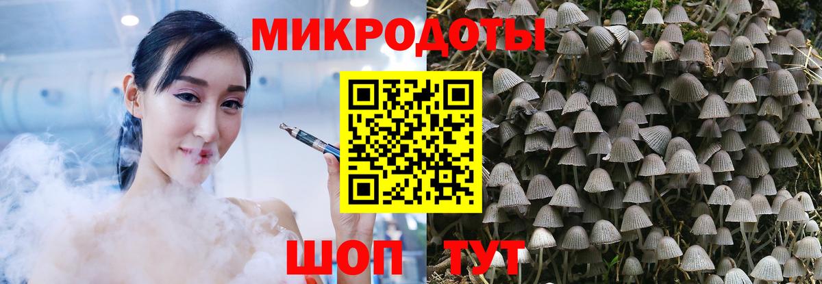 Псилоцибиновые грибы Psilocybe  Галлюциногенные грибы Magic Shrooms  Кудрово  Вход с VPN 
